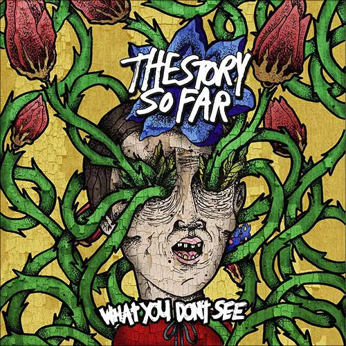 THE STORY SO FAR ´What You Don't See´ Album Cover